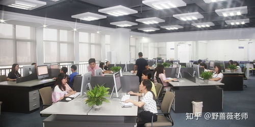 東莞東城電商淘寶運營與美工培訓 賦能企業，開啟數字商業新篇章